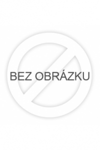 Obrázok pre Zebra-Drukarka etykiet ZD230/termotr/203dpi/USB/eth