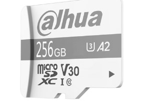 Dahua Technology P100 256 GB MicroSD UHS-I Třída 10