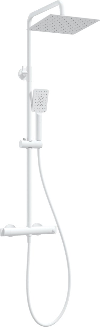 Showerhead w/ thermostatic shower mixer