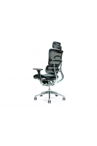 Obrázok pre Ergonomická kancelářská židle ERGO 800 černá