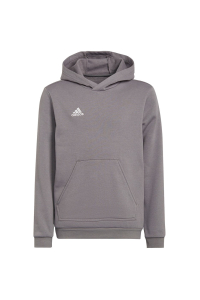 Obrázok pre adidas Entrada 22 Hoody grey H57515 128cm