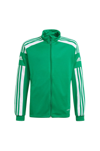 Obrázok pre adidas Squadra 21 Training Youth Sweatshirt green GP6456 152cm