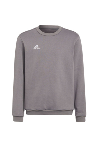 Obrázok pre adidas Entrada 22 Sweat Top grey H57477 140cm