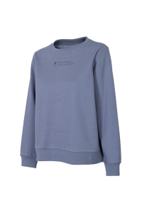 Obrázok pre Women's sweatshirt 4F grey H4Z22 BLD020 25S M