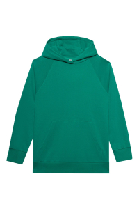 Obrázok pre Women's sweatshirt 4F F0955 green 4FWSS24TSWSF0955 41S M