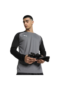 Obrázok pre Puma teamPACER GK LS men's goalkeeper sweatshirt grey 704933 43 L