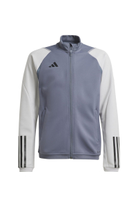 Obrázok pre adidas Tiro 23 Competition Training Sweatshirt grey HP1909