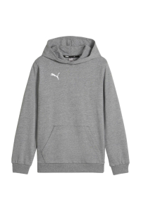 Obrázok pre Puma Team Goal Casuals Hoddy Sweatshirt Grey 658619 33 164cm