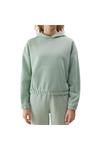 Obrázok pre Women's sweatshirt 4F F1057 light green 4FWSS24TSWSF1057 42S M