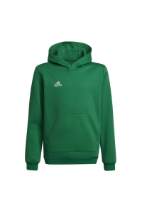 Obrázok pre Sweatshirt for kids adidas Entrada 22 Hoody green HI2143 116cm