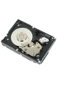 Obrázok pre DELL 400-AUPW vnitřní pevný disk 1 TB 7200 ot/min 3.5