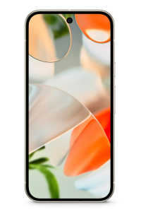 Obrázok pre Google Pixel 9 16 cm (6.3