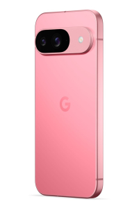 Obrázok pre Google Pixel 9 16 cm (6.3