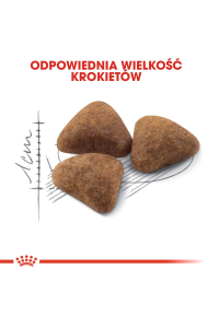 Obrázok pre Royal Canin FHN Indoor - suché krmivo pro dospělé kočky - 4kg