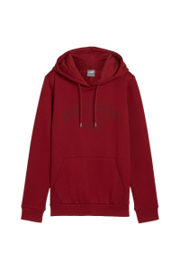 Obrázok pre Puma Ess+ Logo LAB Hoodie FL burgundy 682987 13 L