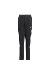 Obrázok pre Children's pants adidas Tiro 21 Sweat black GM7332 152cm