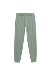 Obrázok pre Men's trousers Outhorn green HOL22 SPMD604 41S M