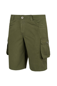 Obrázok pre Men's shorts Alpinus Hekla green SI18154 L