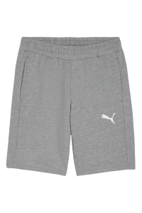 Obrázok pre Puma teamGOAL Casuals Men's Shorts Grey 658608 33 M