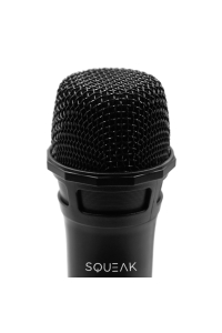 Obrázok pre SADA MIKROFONŮ PRO KARAOKE VOCALDUO 2.4G SQ1007