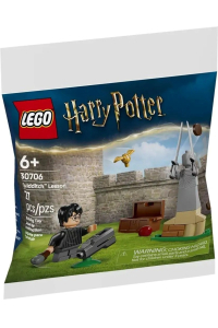 Obrázok pre LEGO HARRY POTTER 30706 Lekce quidditche