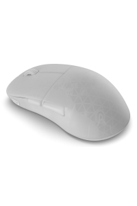 Endgame Gear XM2w 4k v2 myš Hraní Pro praváky RF Wireless + USB Type-A Optický 30000 DPI Obrázok pre Endgame Gear XM2w 4k v2 myš Hraní Pro praváky RF Wireless + USB Type-A Optický 30000 DPI