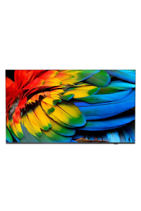 Obrázok pre Philips 43HFL6214U 109,2 cm (43