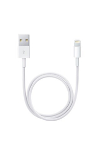 Apple Lightning / USB 0,5 m Bílá Obrázok pre Apple Lightning / USB 0,5 m Bílá