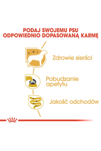 ROYAL CANIN BHN Yorkshire Terrier Adult - mokré krmivo pro dospělé psy - 12x85 g Obrázok pre ROYAL CANIN BHN Yorkshire Terrier Adult - mokré krmivo pro dospělé psy - 12x85 g