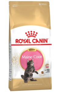 Obrázok pre ROYAL CANIN Maine Coon Kitten - suché krmivo pro kočky -  2 kg