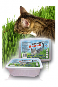 Obrázok pre Certech 10319 travní semínka pro zvířata Kočka