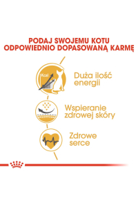 Obrázok pre Royal Canin Sphynx suché krmivo pro kočky 2 kg