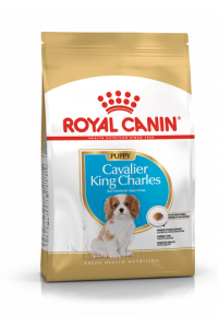 Obrázok pre Royal Canin BHN Cavalier King Charles Spaniel Puppy - suché krmivo pro štěňata - 1,5kg