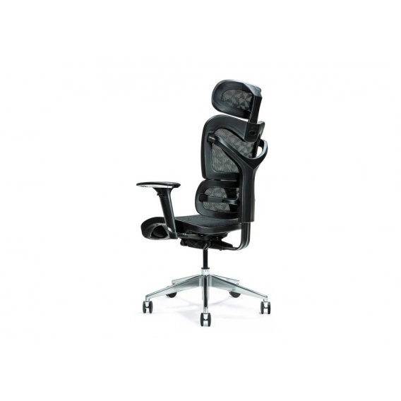 Obrázok pre Ergonomická kancelářská židle ERGO 600 černá