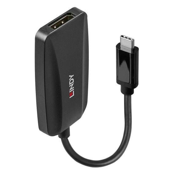 Obrázok pre Lindy 43337 adaptér k video kabelům 0,13 m USB typu C DisplayPort Černá