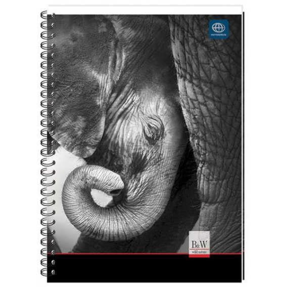 Obrázok pre Notebook B5 in semi-hardcover, 160 sheets, grid MAJEWSKI p5, mix price for 1 pc