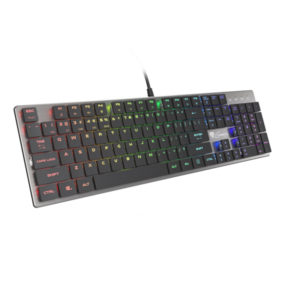 Obrázok pre GENESIS Thor 420 RGB klávesnice Hraní USB QWERTY US Mezinárodní Stříbrná