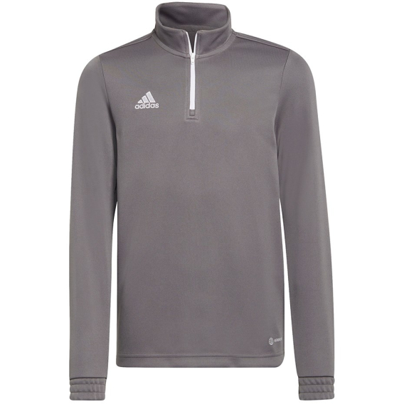 Obrázok pre Sweatshirt for kids adidas Entrada 22 Training Top gray H57549 140cm