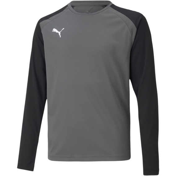 Obrázok pre Puma teamPACER GK LS Jersey Goalkeeper Sweatshirt Grey 704939 43 152cm