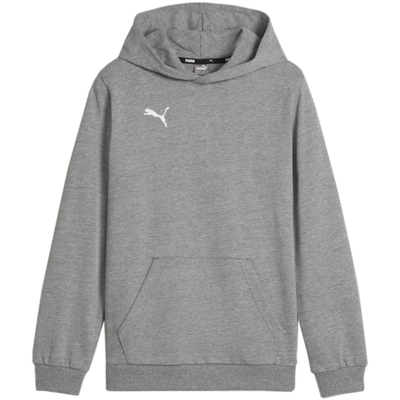 Obrázok pre Puma Team Goal Casuals Hoddy Sweatshirt Grey 658619 33 152cm