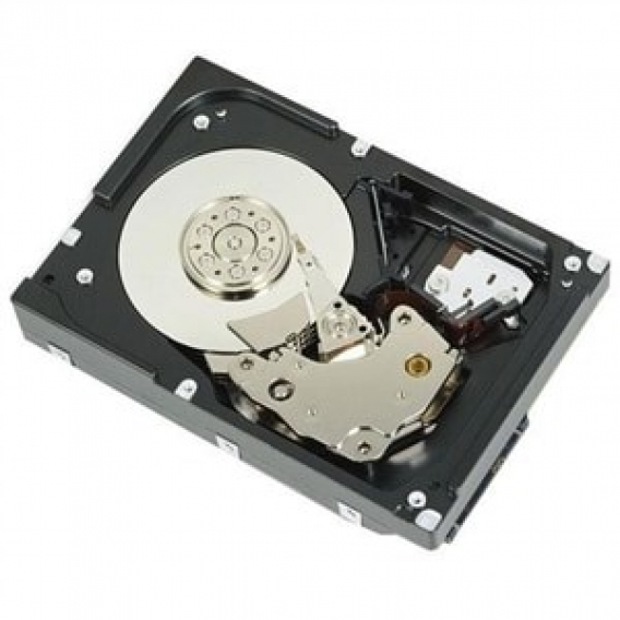 Obrázok pre DELL 400-AUPW vnitřní pevný disk 1 TB 7200 ot/min 3.5" Serial ATA III