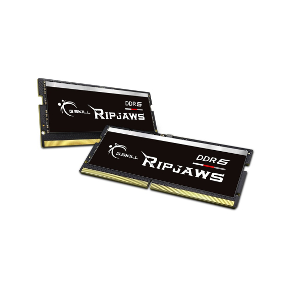 Obrázok pre G.Skill Ripjaws F5-4800S4039A32GX2-RS paměťový modul 64 GB 2 x 32 GB DDR5 4800 MHz