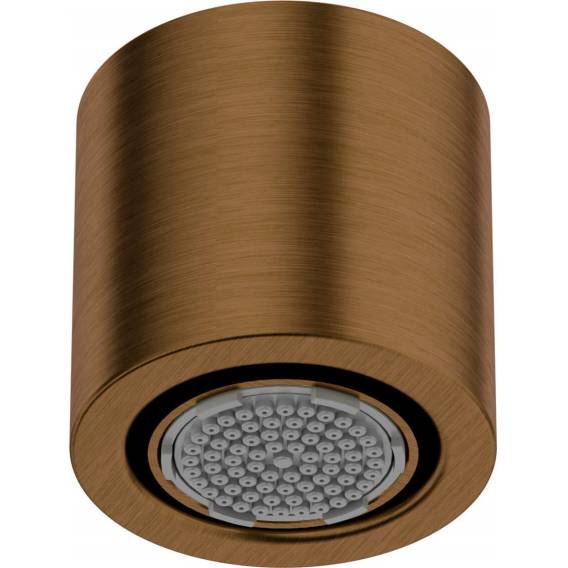Obrázok pre 1-function shower head