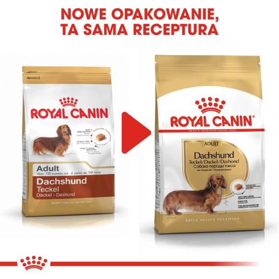 Obrázok pre ROYAL CANIN Dachshund Adult - suché krmivo pro psy - 7,5 kg