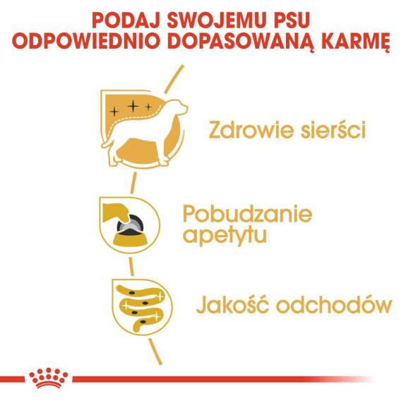 Obrázok pre ROYAL CANIN BHN Yorkshire Terrier Adult - mokré krmivo pro dospělé psy - 12x85 g