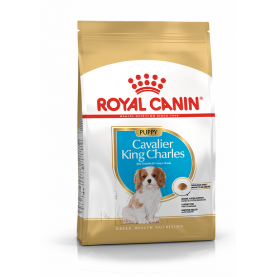 Obrázok pre Royal Canin BHN Cavalier King Charles Spaniel Puppy - suché krmivo pro štěňata - 1,5kg