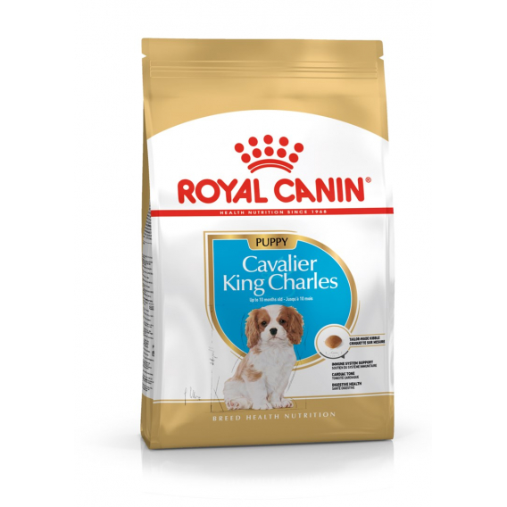 Obrázok pre Royal Canin BHN Cavalier King Charles Spaniel Puppy - suché krmivo pro štěňata - 1,5kg