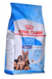 Obrázok pre ROYAL CANIN SHN Maxi Starter Mother & Babydog - suché krmivo pro psy - 4 kg