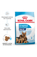 Obrázok pre ROYAL CANIN SHN Maxi Starter Mother & Babydog - suché krmivo pro psy - 4 kg