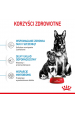 Obrázok pre ROYAL CANIN SHN Maxi Starter Mother & Babydog - suché krmivo pro psy - 4 kg